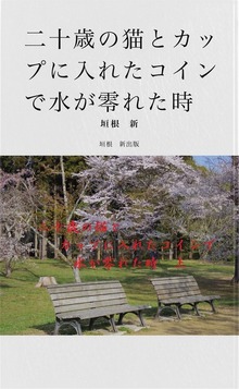 二十歳の猫とカップに入れたコインで水が零れた時（BCCKS Distribution）