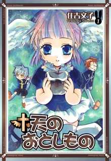 天のおとしもの