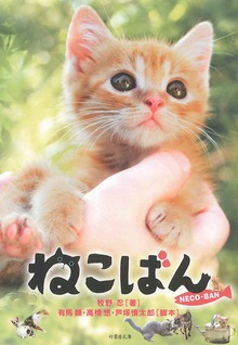ねこばん