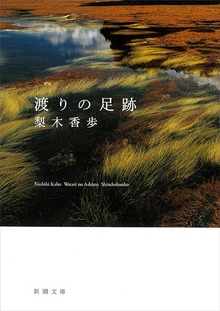 渡りの足跡
