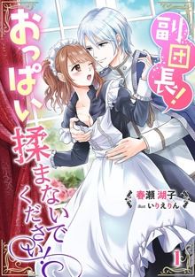 副団長！おっぱい揉まないでください！（アマゾナイトノベルズ）