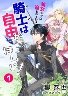 美女たちに迫られている騎士＜オレ＞は自由がほしい！（シルバーナイル）