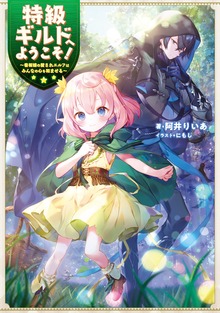 特級ギルドへようこそ！（TOブックスノベル）