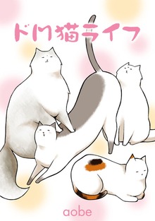 ドＭ猫ライフ
