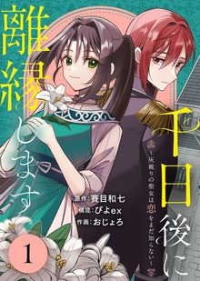 千日後に離縁します～灰被りの聖女は恋をまだ知らない～
