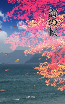 海の秋