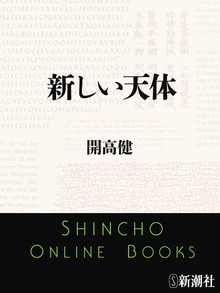新しい天体