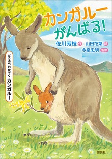 どうぶつのかぞく カンガルー カンガルーがんばる！