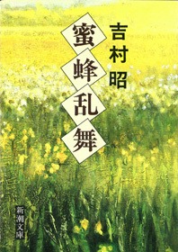 蜜蜂乱舞
