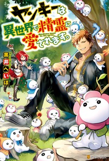 ヤンキーは異世界で精霊に愛されます。