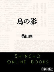 鳥の影
