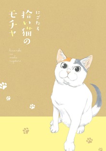 拾い猫のモチャ