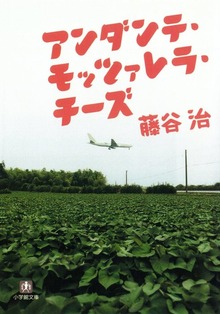 アンダンテ・モッツァレラ・チーズ