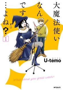 大魔法使いなんです…よね？