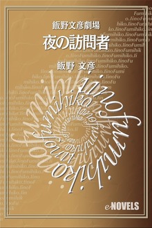 飯野文彦劇場 夜の訪問者