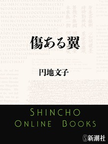 傷ある翼