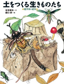 ちしきのぽけっと（岩崎書店）