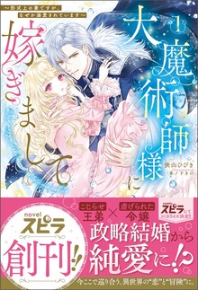 大魔術師様に嫁ぎまして～形式上の妻ですが、なぜか溺愛されています～（novel スピラ）
