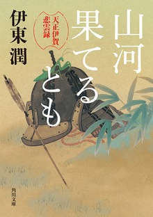 山河果てるとも 天正伊賀悲雲録