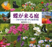 蝶が来る庭：バタフライガーデンのすすめ
