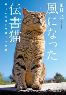 風になった伝書猫 猫と人の魂が交差する物語