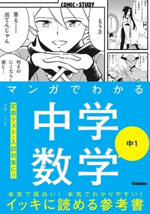 マンガでわかる中学数学 中1