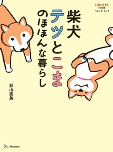 柴犬テツとこま のほほんな暮らし