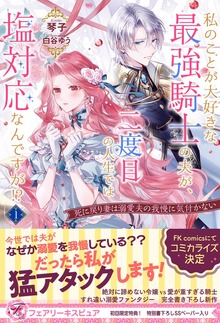 私のことが大好きな最強騎士の夫が、二度目の人生では塩対応なんですが！？（フェアリーキス）