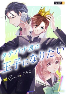 タチバナ君は王子になりたい