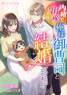 内緒で出産したら、俺様御曹司と結婚することになりました