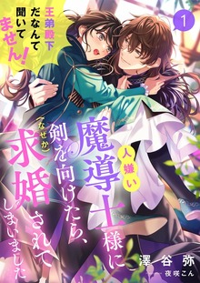 人嫌い魔導士様に剣を向けたら、（なぜか）求婚されてしまいました 王弟殿下だなんて聞いてません！（シェリーLoveノベルズ）