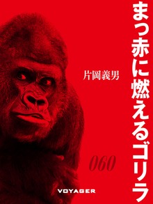 まっ赤に燃えるゴリラ
