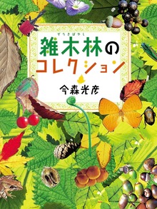 ふしぎコレクション（絵本・児童書）