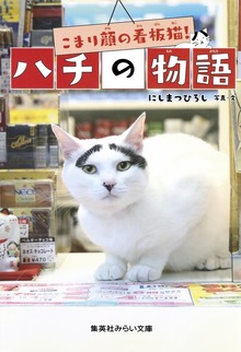 こまり顔の看板猫！ ハチの物語