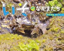 いその なかまたち