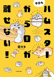 今日もハムスターから目が離せない！
