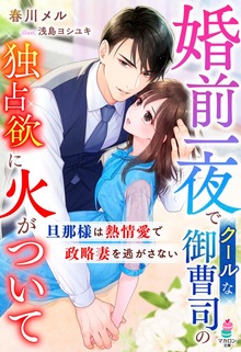 婚前一夜でクールな御曹司の独占欲に火がついて～旦那様は熱情愛で政略妻を逃がさない～