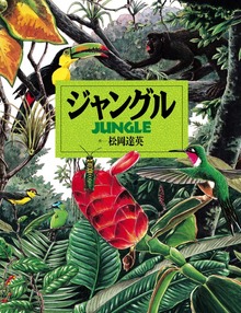 ジャングル
