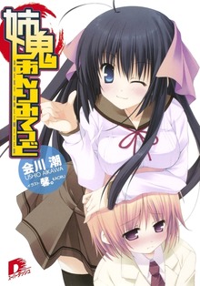 姉鬼あんりみてっど