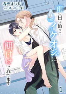 雨の日に拾った謎のイケオジに餌付けされてます（アマゾナイトノベルズ）
