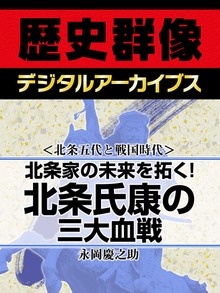 ＜北条五代と戦国時代＞北条家の未来を拓く！ 北条氏康の三大血戦