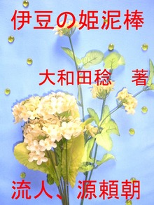 伊豆の姫泥棒