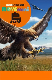 鳥
