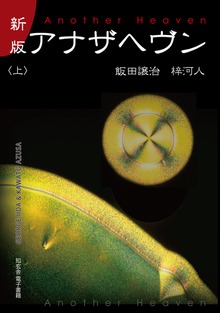 新版 アナザヘヴン