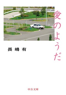 愛のようだ