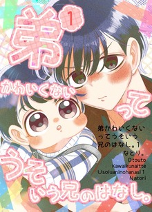 弟かわいくないってうそいう兄のはなし。（ナンバーナイン）