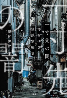 一寸先の闇 澤村伊智怪談掌編集