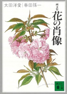 画文集 花の肖像