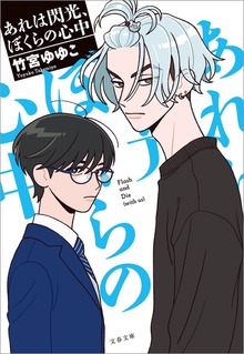 あれは閃光、ぼくらの心中