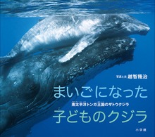 まいごになった子どものクジラ ～南太平洋トンガ王国のザトウクジラ～（小学館の図鑑NEOの科学絵本）